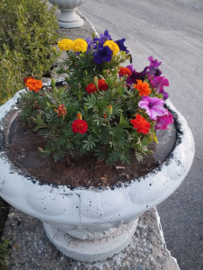 Айдаркен шаарын көрктөндүрүү жана жашылдандыруу иштери тууралуу